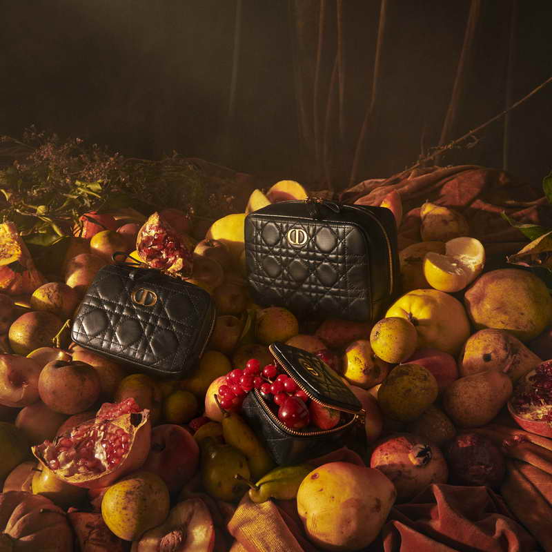 DIOR PRESENTS THE DIOR CARO LINE OF SMALL LEATHER ACCESSORIES