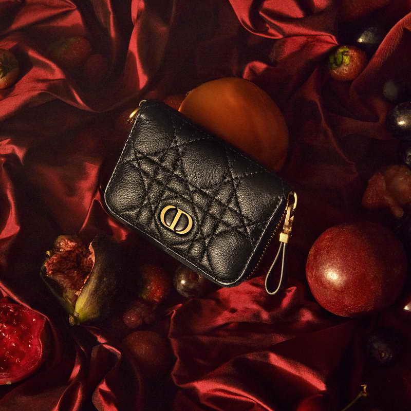 DIOR PRESENTS THE DIOR CARO LINE OF SMALL LEATHER ACCESSORIES