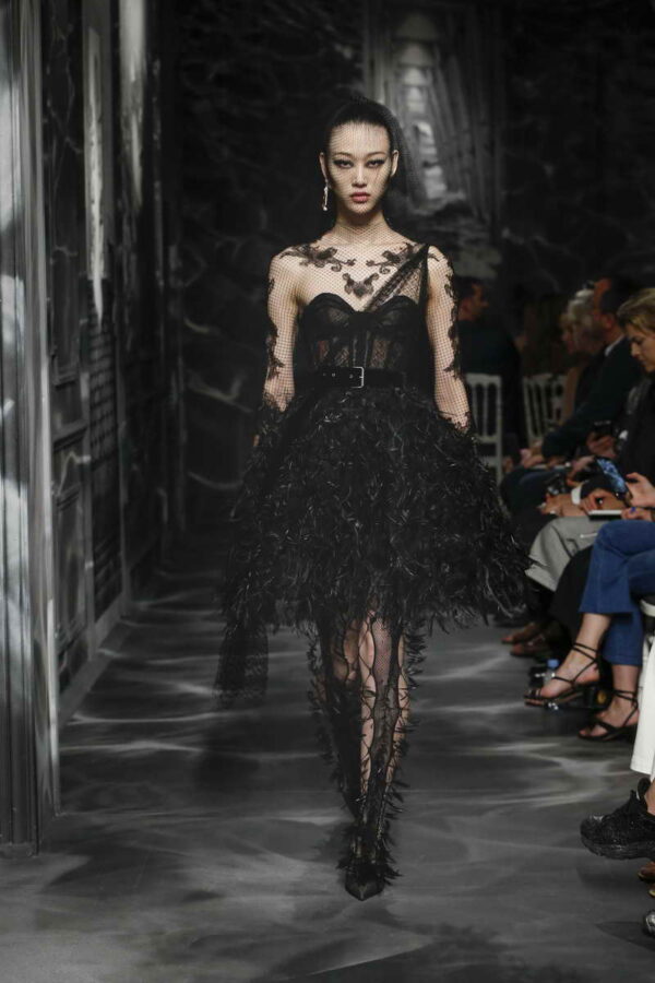 Dior Haute Couture Autumn - Winter 2019-2020 Collection